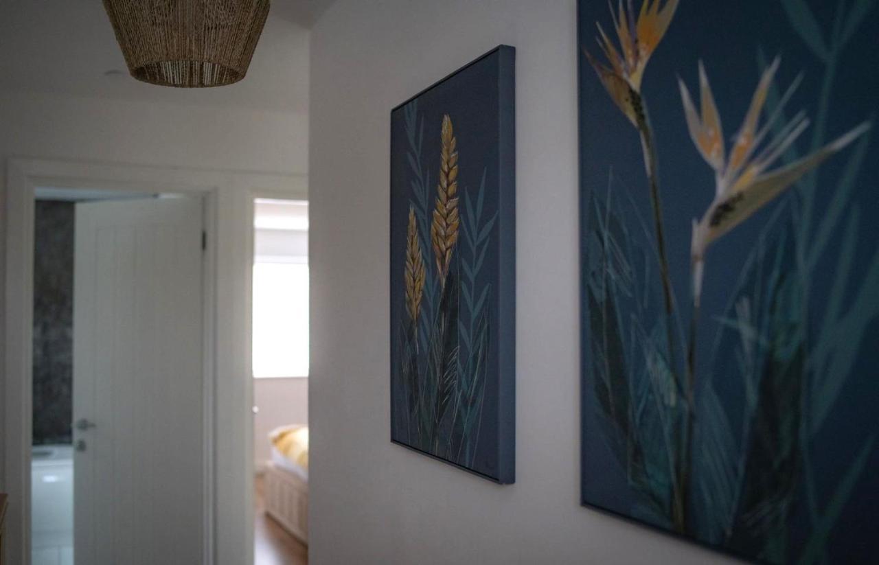 The Red House Modern Stylish Home From Home Walking Distance To Cardiff Bay And City Centre With Parking Luaran gambar